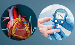 Fellowship in Cardio Diabetes mellitus.